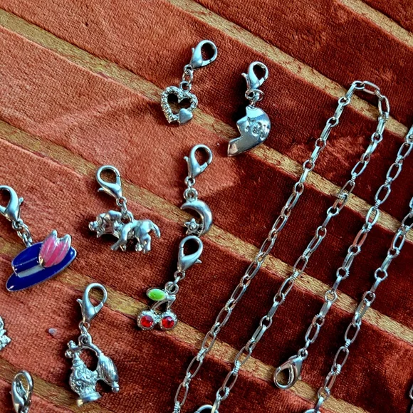 Charm Bracelet Set - Picture 4 of 9